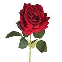 ROSA RAMO 3 FIORI 